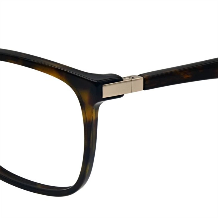 Tortoise Designer Optical Glasses